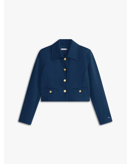 Tommy Hilfiger Blue Regular Fit Jacket