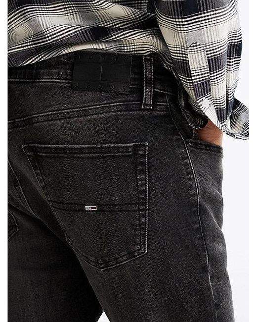 Tommy Hilfiger Austin Zwarte Slim Tapered Jeans in het Black voor heren