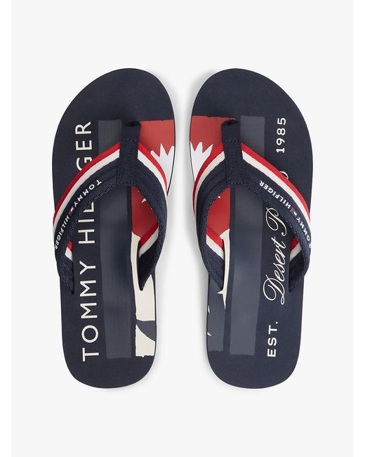 Tommy Hilfiger Blue Stripe Webbing Strap Flip-Flops for men