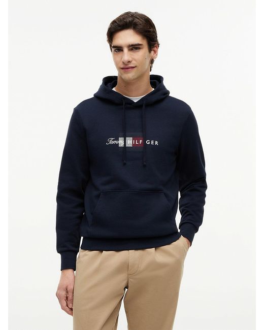 Tommy Hilfiger Blue Flag Graphic Terry Drawstring Hoody for men
