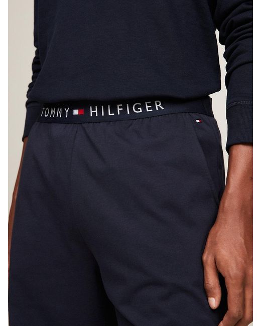 Tommy Hilfiger Blue Jersey Logo Shorts for men