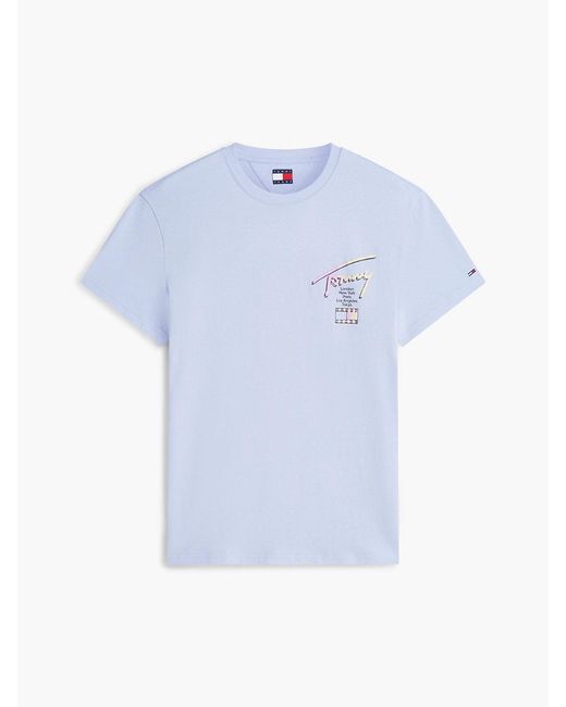 Tommy Hilfiger Blue Signature Logo Crew Neck T-Shirt for men