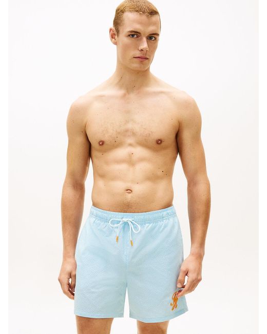 Tommy Hilfiger Blue Ithaca Stripe Mid Length Swim Shorts for men