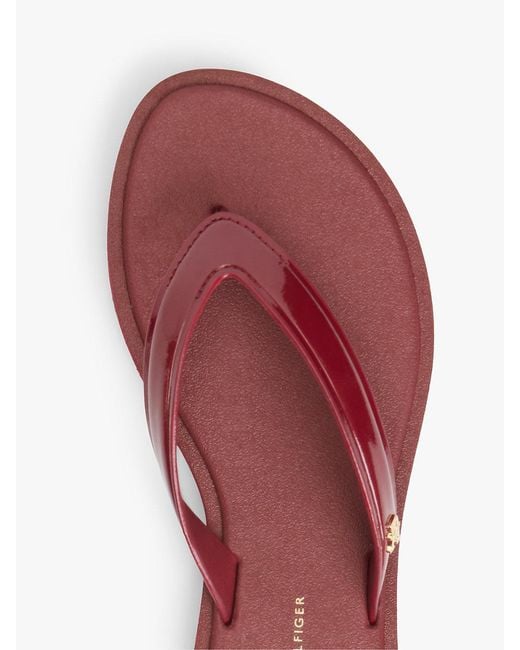 Tommy Hilfiger Multicolor Th Monogram Flip-Flops