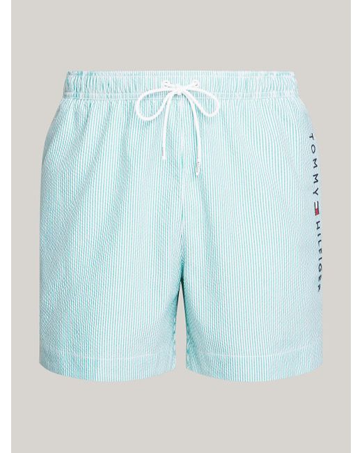 Tommy Hilfiger Blue Original Ithaca Stripe Mid Length Swim Shorts for men
