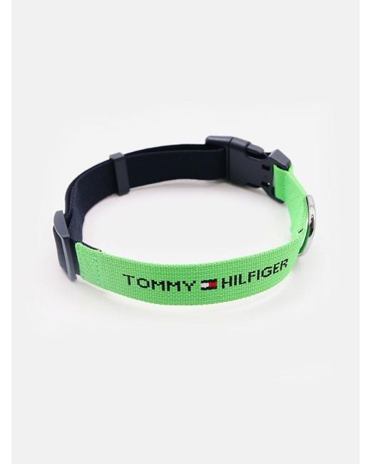 Tommy Hilfiger Green Dog Logo Webbing Collar