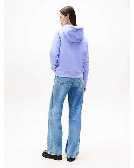Sudadera Con Capucha Y Logo Bordado Tommy Hilfiger de color Blue