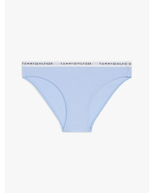 Tommy Hilfiger Blue Logo Waistband Briefs