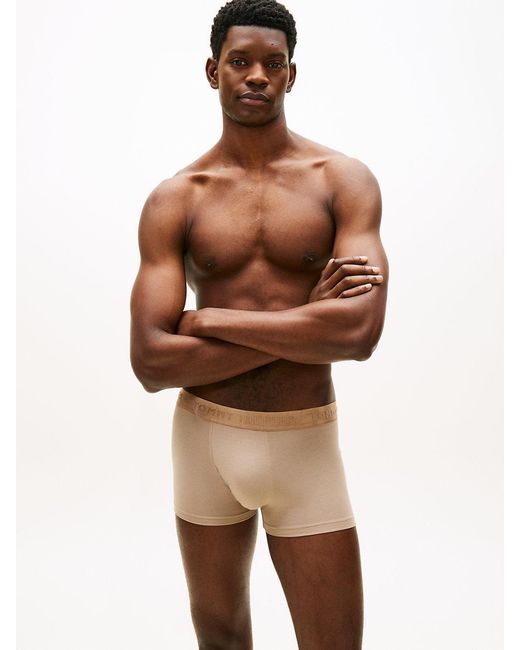 Tommy Hilfiger Brown 3-Pack Everyday Luxe Tonal Logo Trunks for men