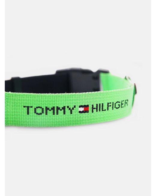 Tommy Hilfiger Green Dog Logo Webbing Collar