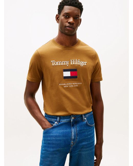 Tommy Hilfiger Blue Logo Embroidery Crew Neck T-Shirt for men