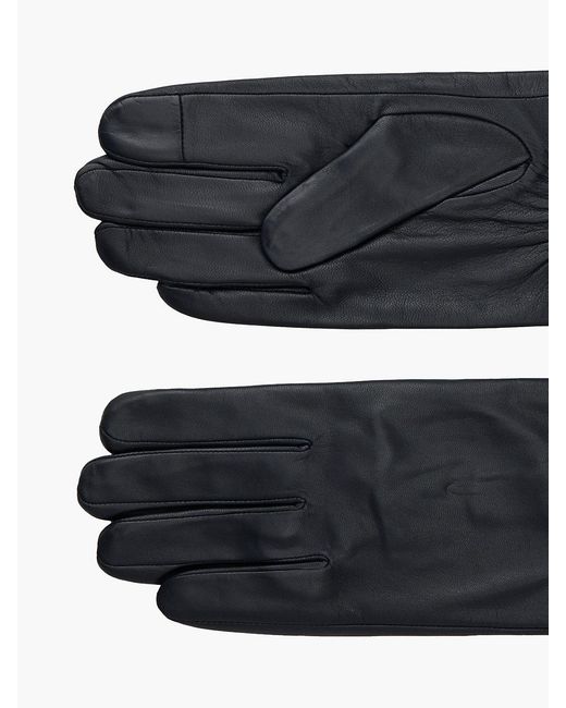 Tommy Hilfiger Blue Hilfiger Flag Leather Gloves for men