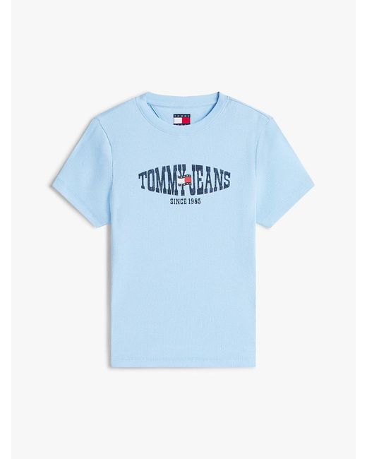 Tommy Hilfiger Blue Wavy Flag Ribbed Slim T-Shirt