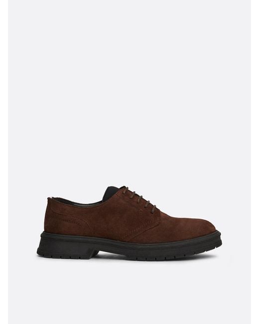 Tommy Hilfiger Brown Suede Lace-up Derby Shoes for men