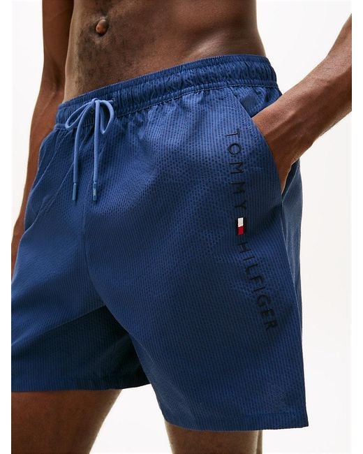 Tommy Hilfiger Blue Original Ithaca Stripe Mid Length Swim Shorts for men