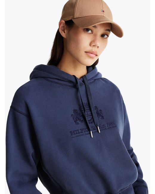 Felpa Con Cappuccio, Lacci E Logo Ricamato di Tommy Hilfiger in Blue