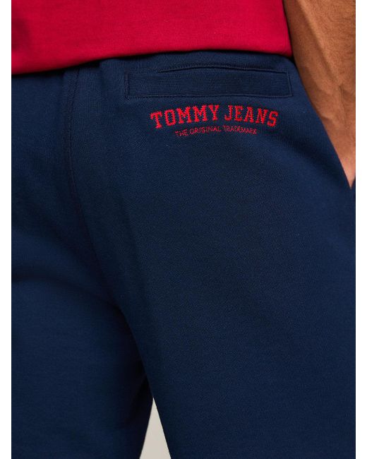 Tommy Hilfiger Blue Varsity Explorer Logo Embroidery Joggers for men