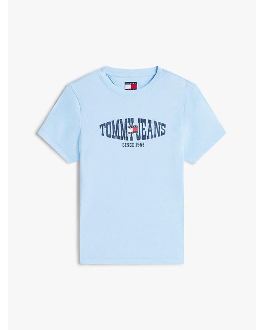 Tommy Hilfiger Blue Wavy Flag Ribbed Slim T-Shirt