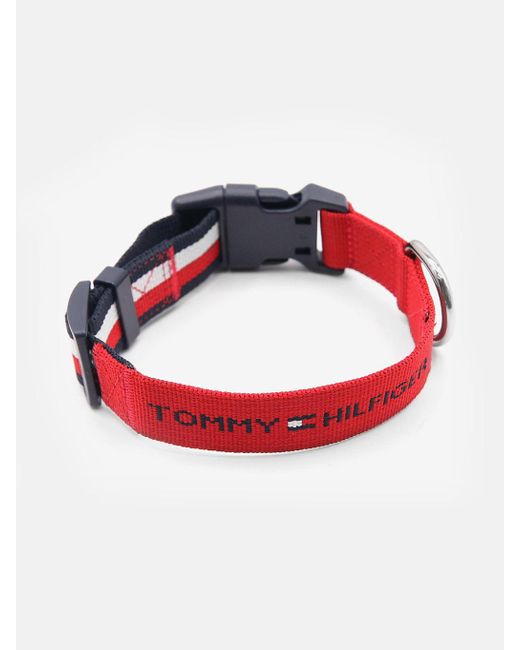 Tommy Hilfiger Multicolor Dog Logo Webbing Collar