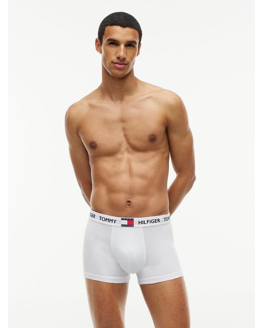 Tommy Hilfiger Blue 3-Pack Heritage Logo Waistband Trunks for men