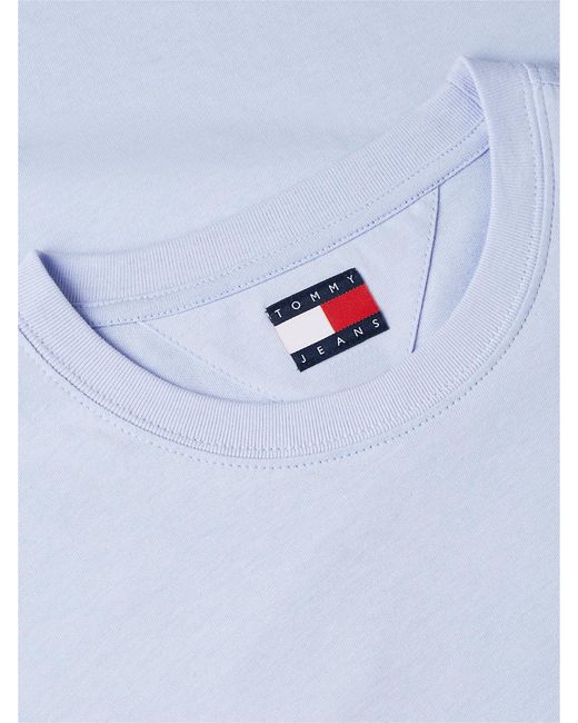 Tommy Hilfiger Blue Signature Logo Crew Neck T-Shirt for men