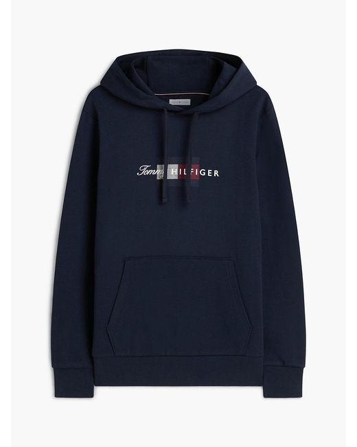 Tommy Hilfiger Blue Flag Graphic Terry Drawstring Hoody for men