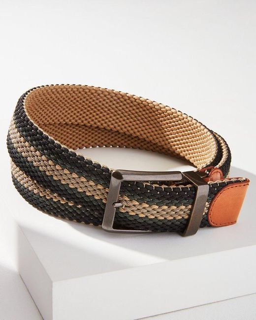 tommy bahama stretch belt