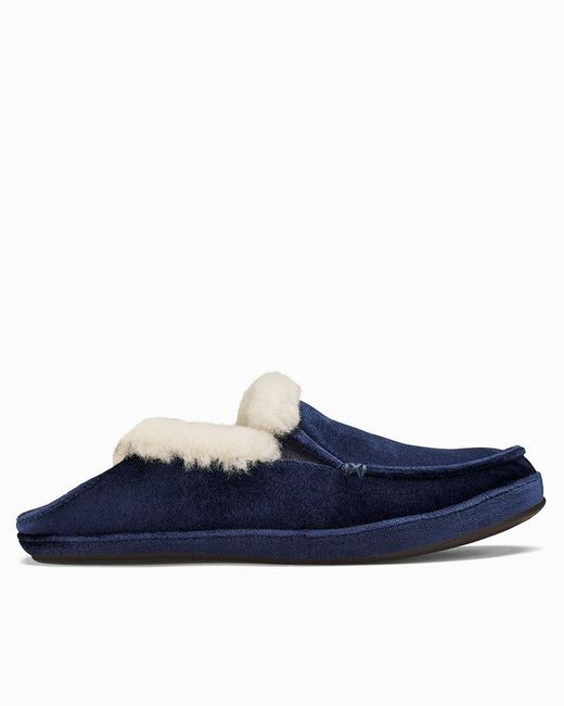 tommy bahama slippers