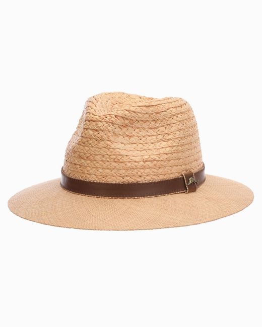 tommy bahama panama hat mens