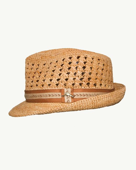 tommy bahama raffia hat
