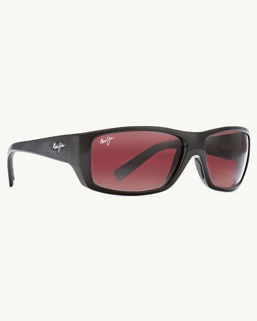 tommy bahama maui jim sunglasses