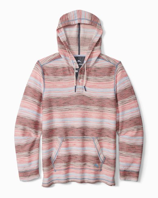 gym shark womens hoodie