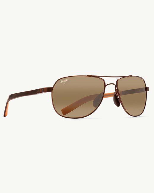 tommy bahama aviator sunglasses
