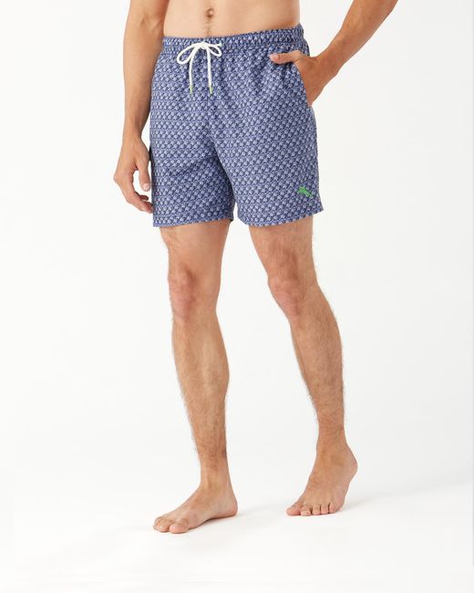 palms away tommy bahama