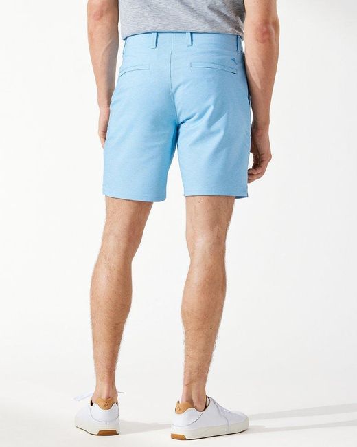 Par Islandzone® 8-inch Shorts 