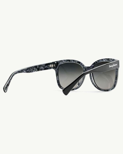 tommy bahama maui jim