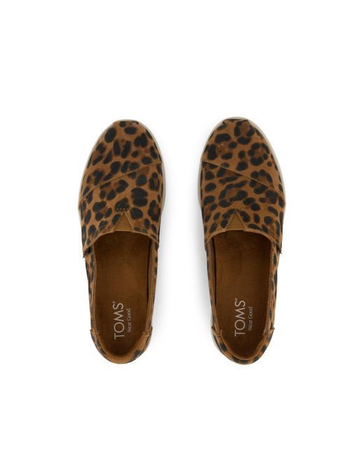 TOMS Brown Alpargata Plus