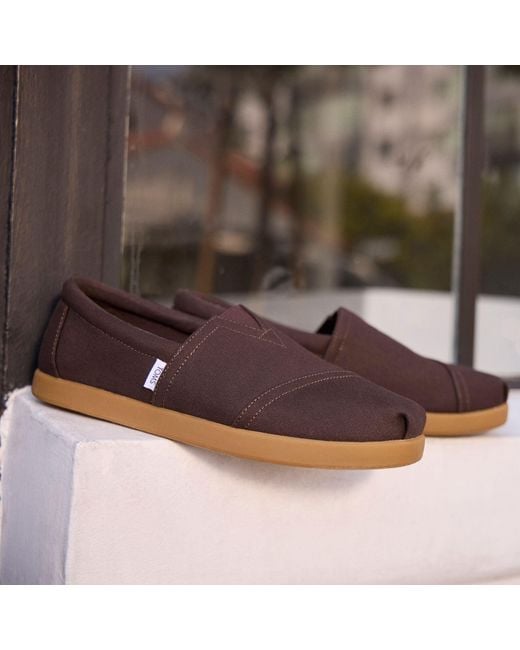 TOMS Brown Alp Fwd for men