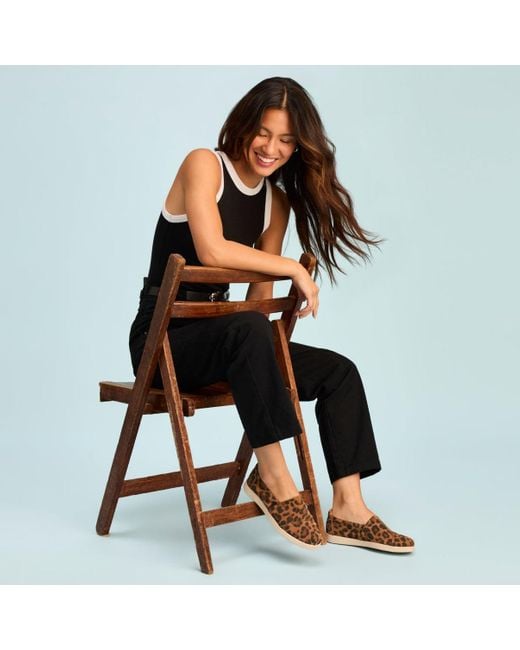 TOMS Brown Alpargata Plus