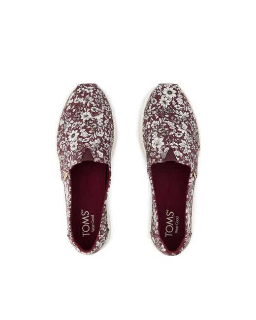 TOMS Brown Alpargata Plus
