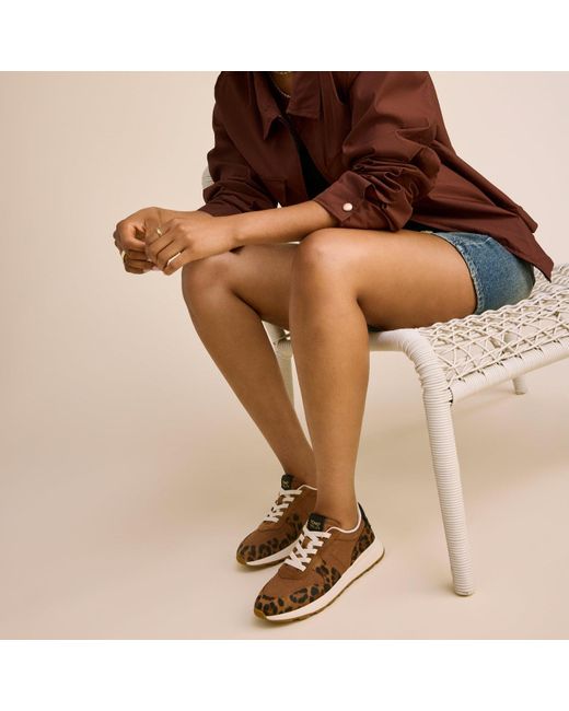 TOMS Brown Trvl Lite Retro Trainer