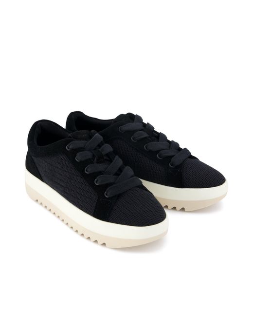TOMS Blue Rea Trainer