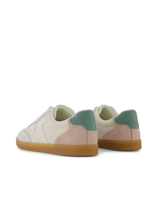 TOMS Multicolor Collins Trainer