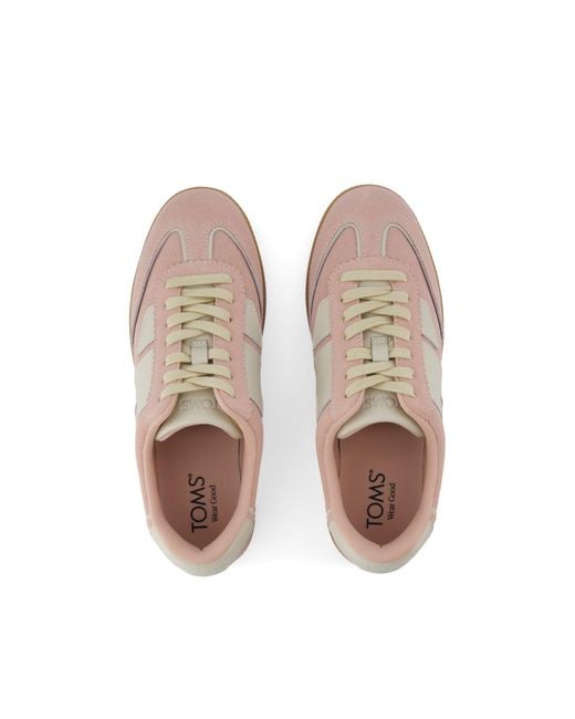 TOMS Brown Collins Trainer