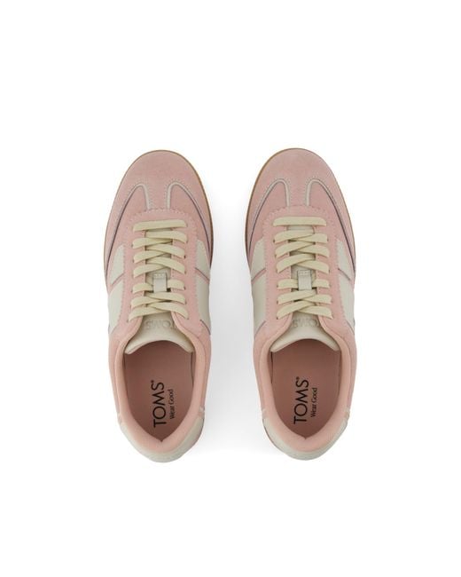 TOMS Brown Collins Trainer