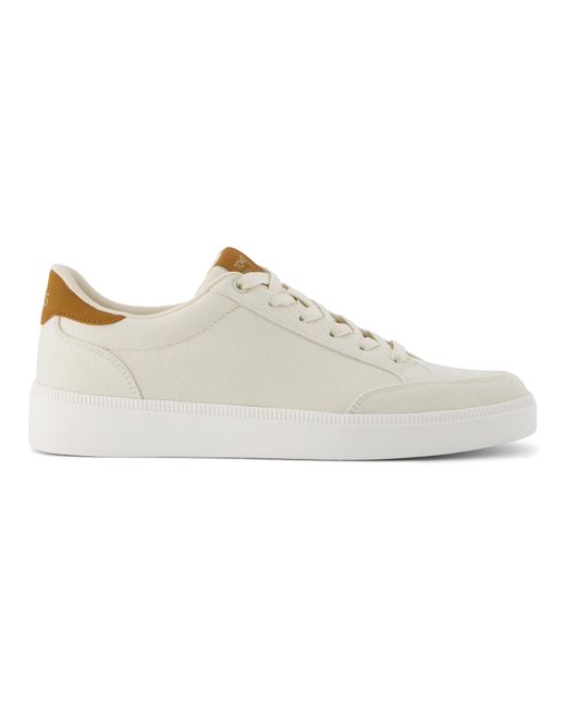 Beige toms mens new arrivals