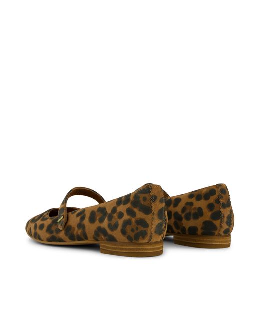 TOMS Brown Bianca Ballet Flat