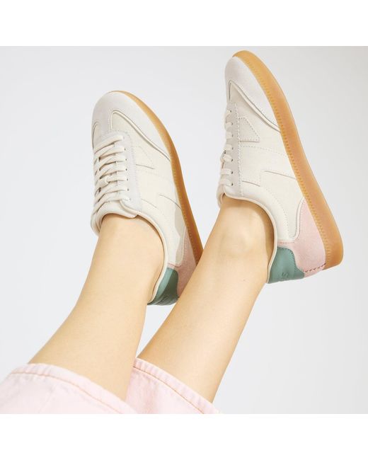 TOMS Multicolor Collins Trainer