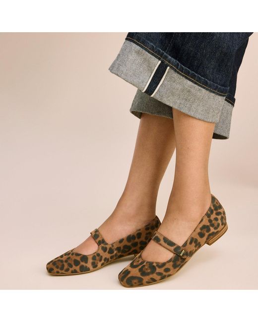 TOMS Brown Bianca Ballet Flat