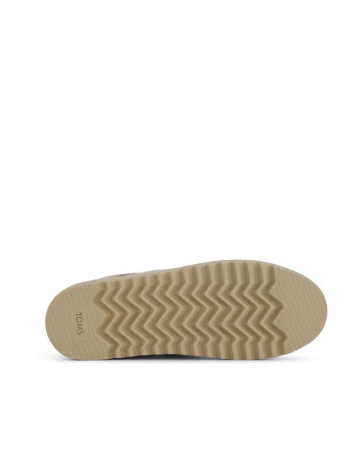 TOMS Gray Rea Trainer